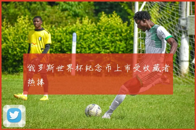 俄罗斯世界杯纪念币上市受收藏者热捧