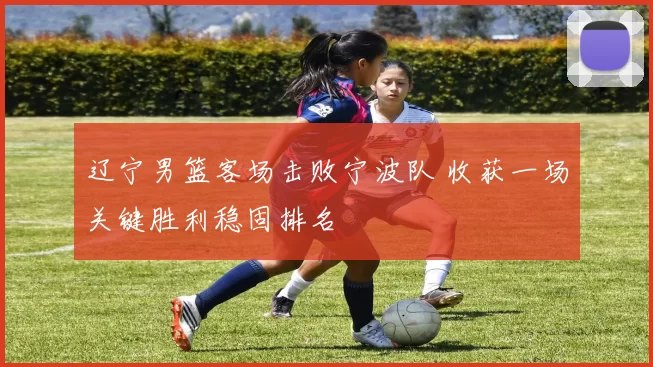 辽宁男篮客场击败宁波队 收获一场关键胜利稳固排名